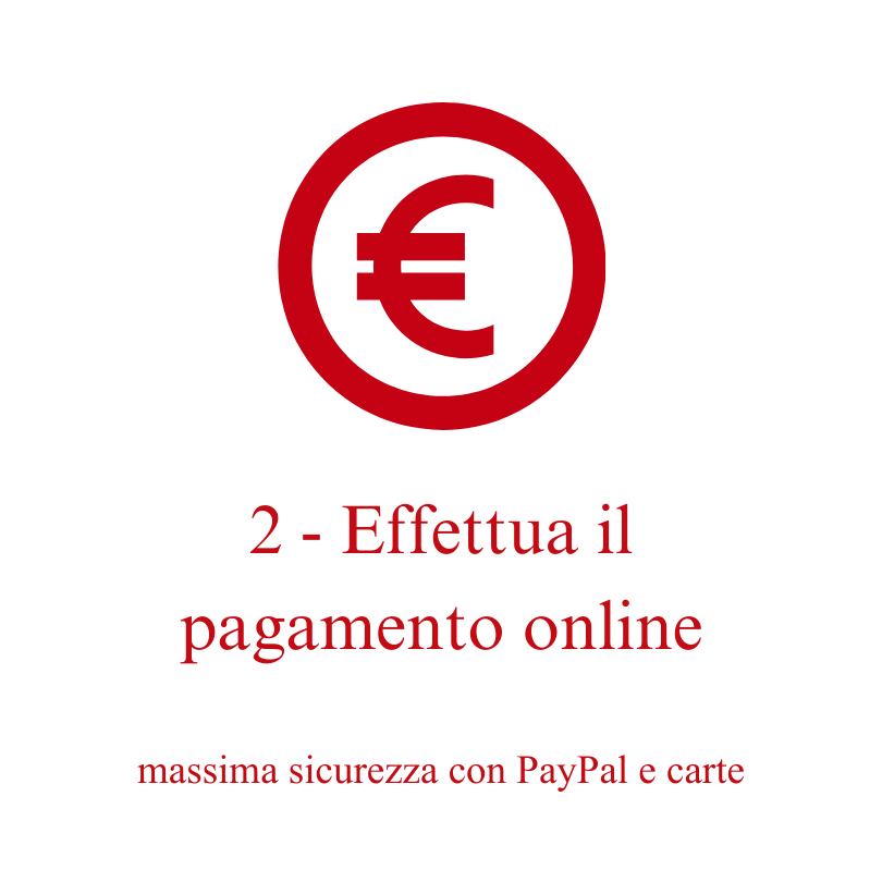 effettua li pagamento online